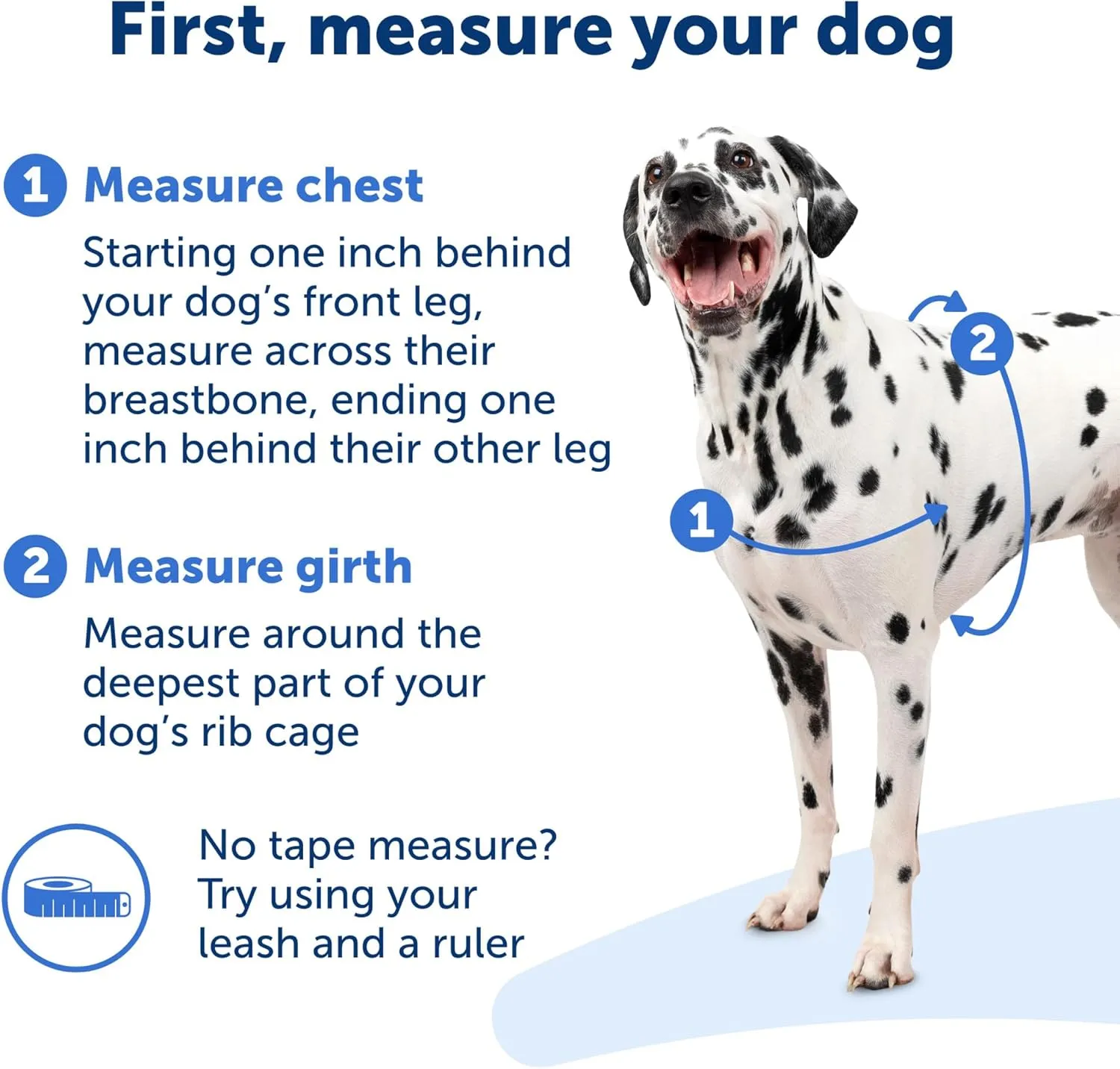 PetSafe Easy Walk No-Pull Dog Harness - The Ultimate Harness to Help Stop Pulling - Take Control & Teach Better Leash Manners - Helps Prevent Pets Pulling on Walks, Medium/Large, Charcoal/Black