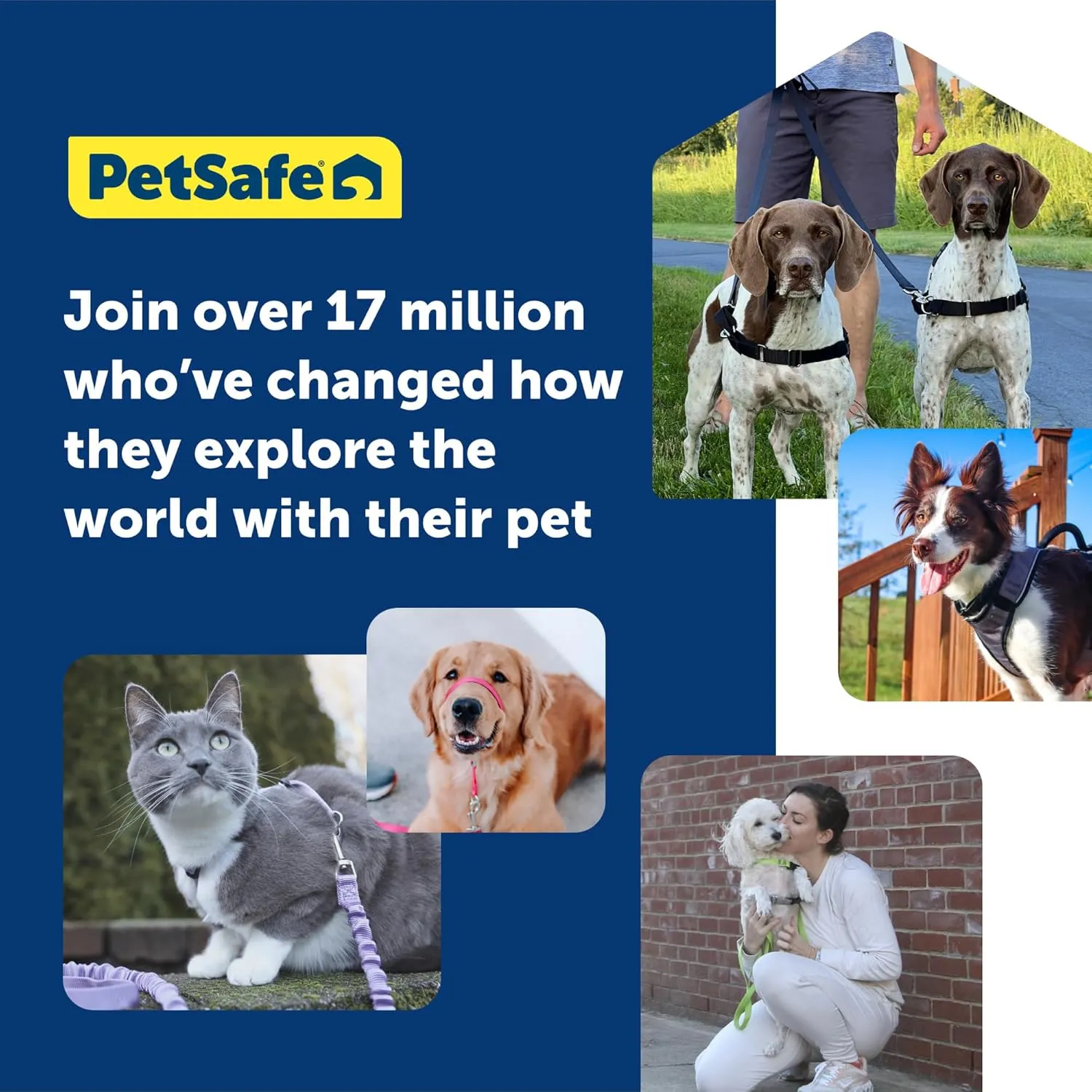 PetSafe Easy Walk No-Pull Dog Harness - The Ultimate Harness to Help Stop Pulling - Take Control & Teach Better Leash Manners - Helps Prevent Pets Pulling on Walks, Medium/Large, Charcoal/Black