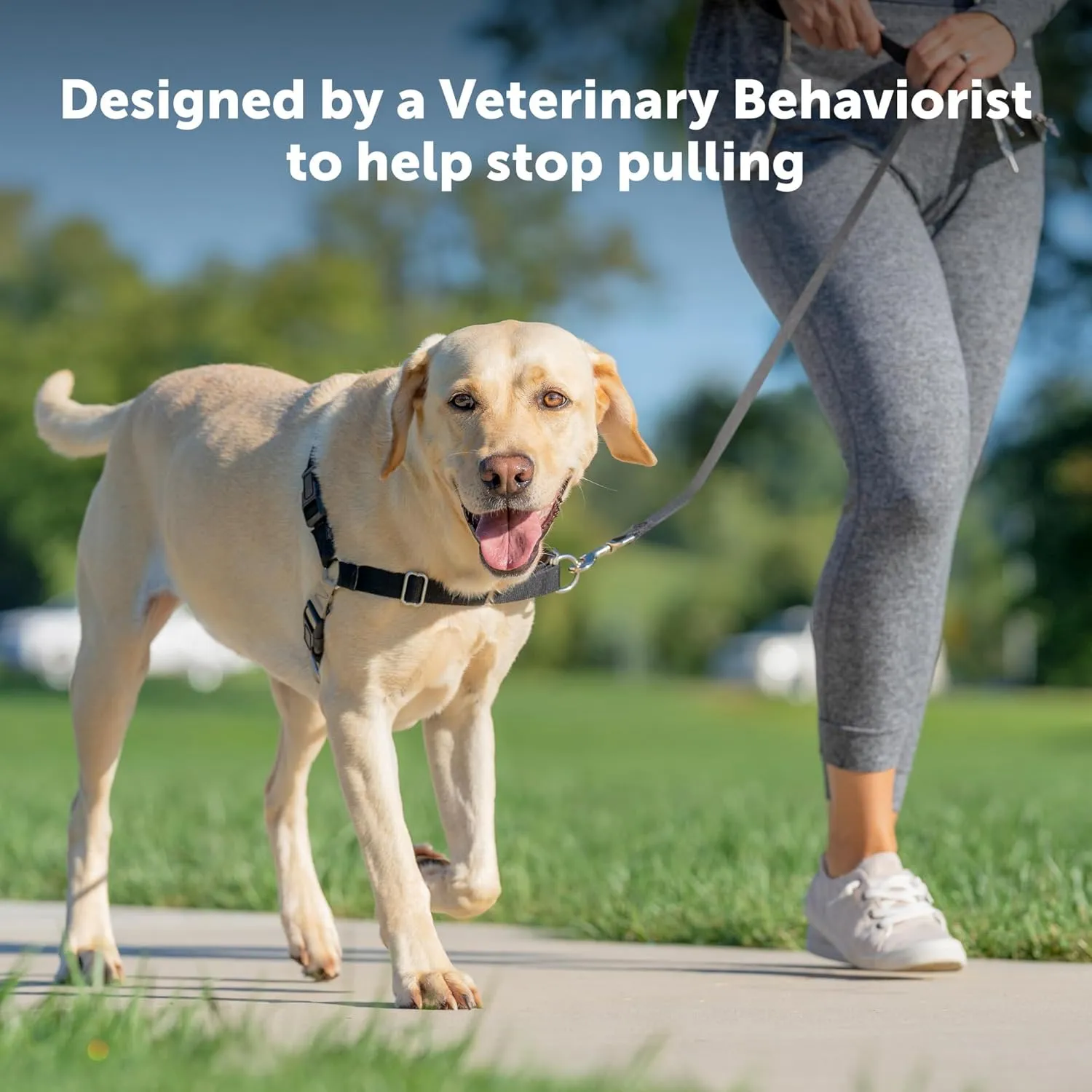 PetSafe Easy Walk No-Pull Dog Harness - The Ultimate Harness to Help Stop Pulling - Take Control & Teach Better Leash Manners - Helps Prevent Pets Pulling on Walks, Medium/Large, Charcoal/Black