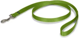 PetSafe Nylon Dog Leash  Strong, Durable, Traditional Style Leash with Easy to Use Bolt Snap  3/4" x 6', Apple Green