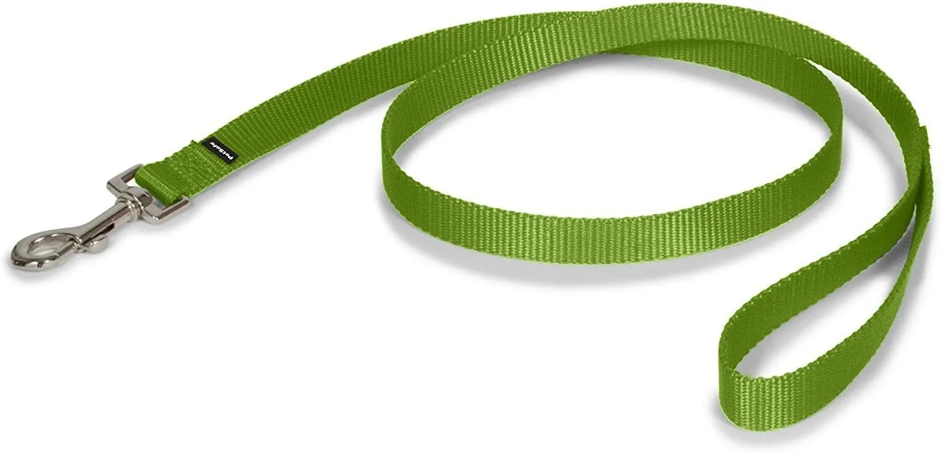 PetSafe Nylon Dog Leash  Strong, Durable, Traditional Style Leash with Easy to Use Bolt Snap  3/4" x 6', Apple Green