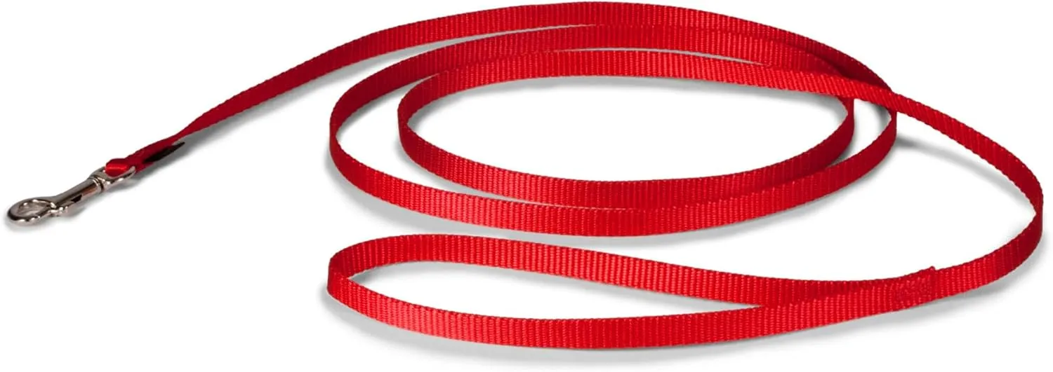 PetSafe Nylon Dog Leash  Strong, Durable, Traditional Style Leash with Easy to Use Bolt Snap for Small, Medium and Large Dogs  3/8" x 6', Red