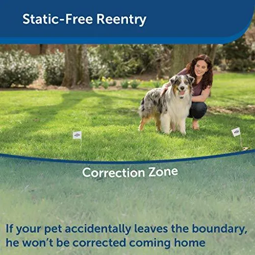 PetSafe Stay & Play Dog and Cat Wireless Fence – Above Ground Electric Pet Fence