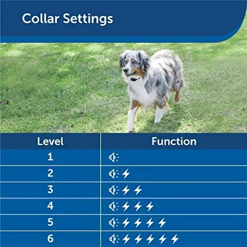 PetSafe Stay & Play Dog and Cat Wireless Fence – Above Ground Electric Pet Fence