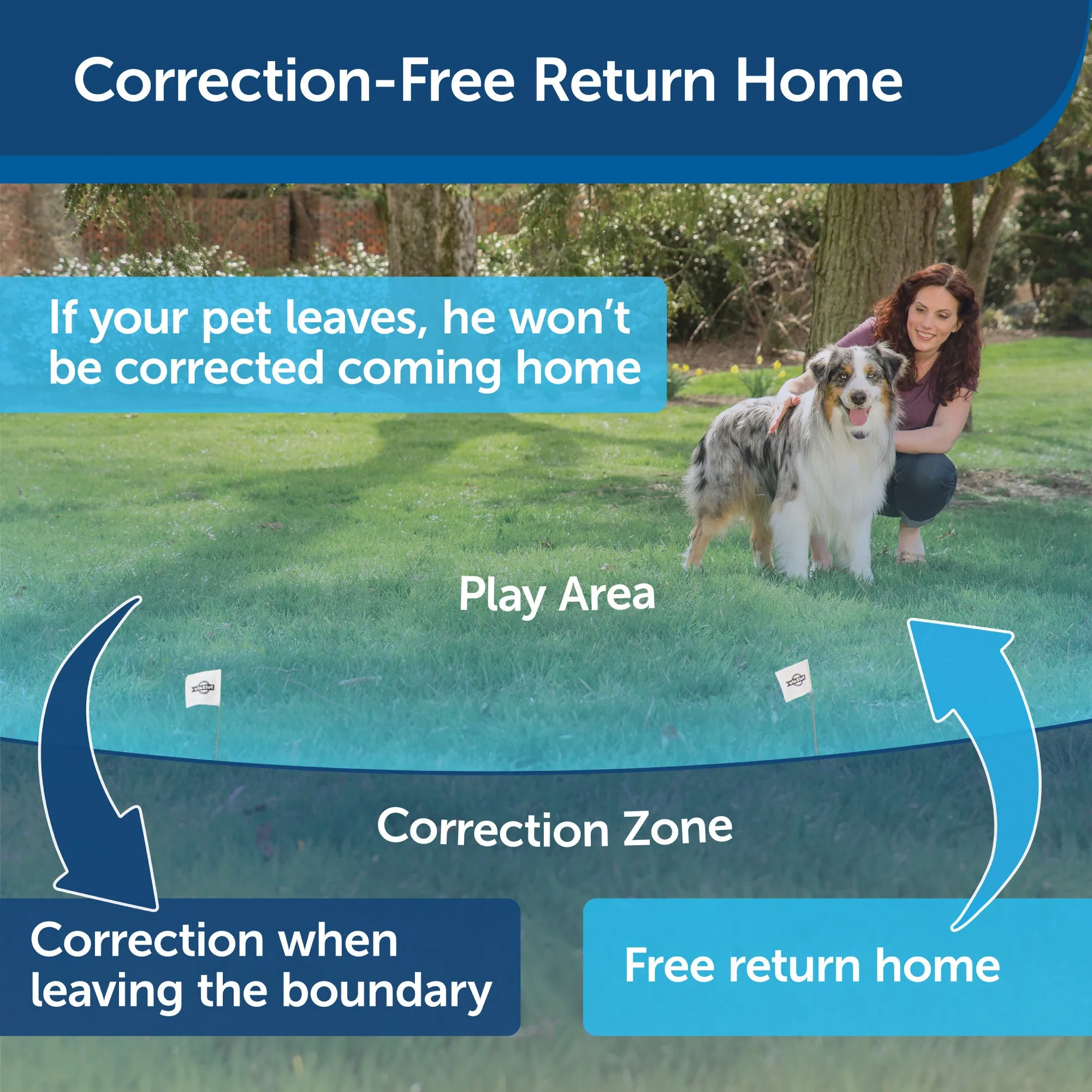 PetSafe Wireless Fence Pet Containment System, Covers up to 1/2 Acre, for Dogs over 8 lb, Waterproof Receiver with Tone / Static Correction - From The Parent Company of INVISIBLE FENCE Brand