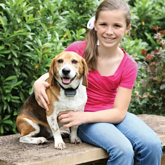 Rechargeable In-Ground Fence™ Add-A-Dog®