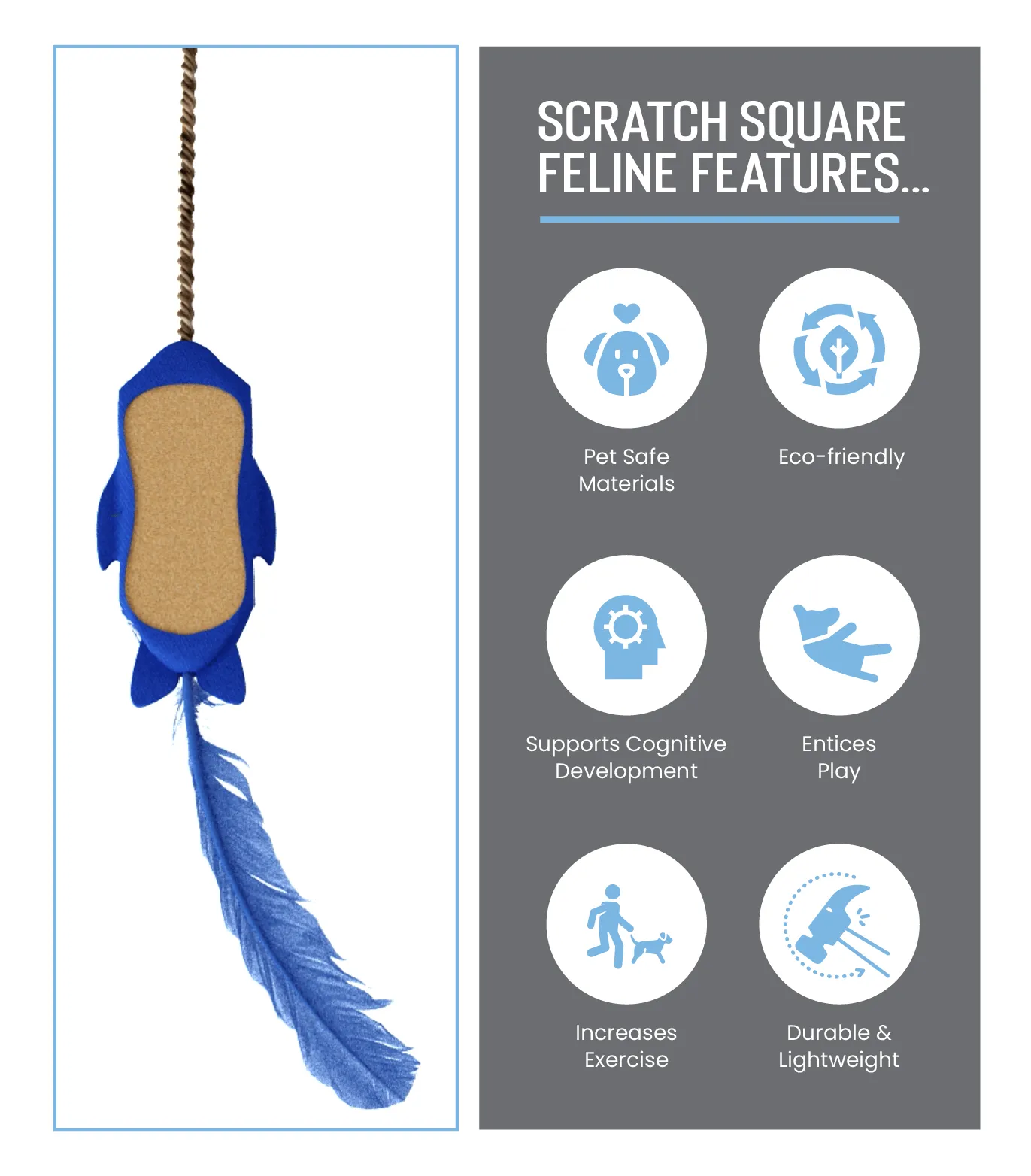 Scratch Square Feline Wholesale Case