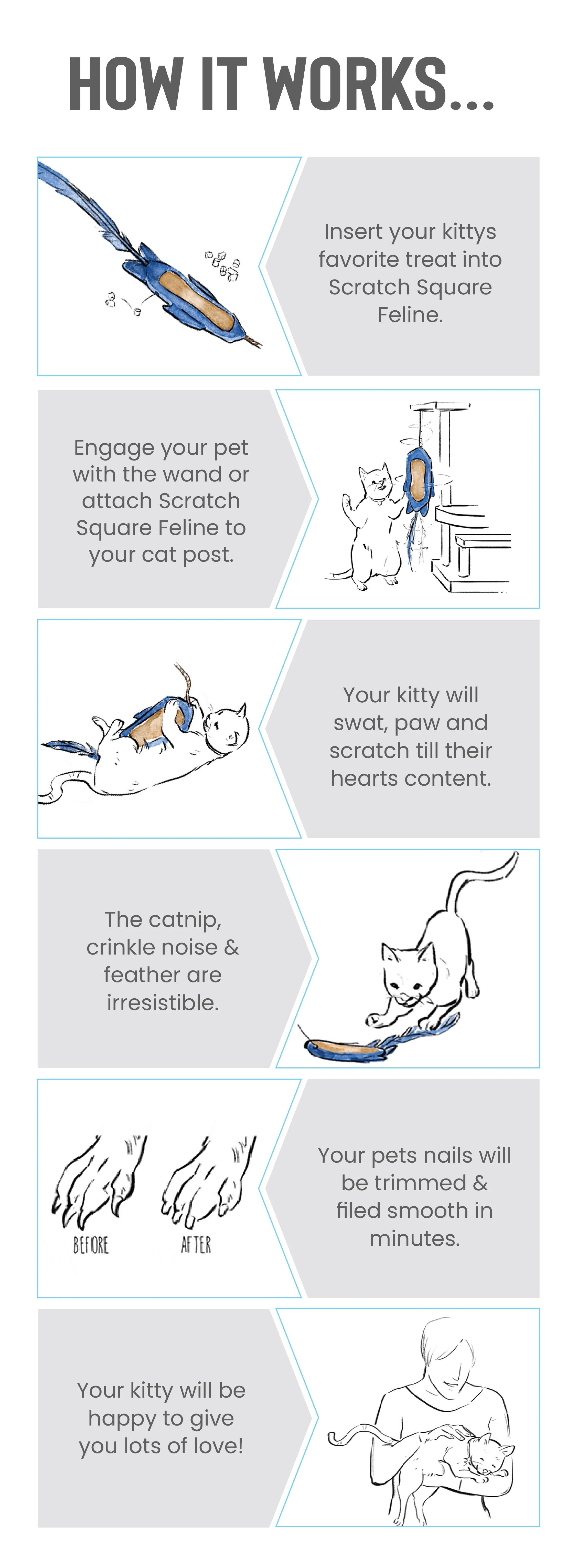 Scratch Square Feline Wholesale Case