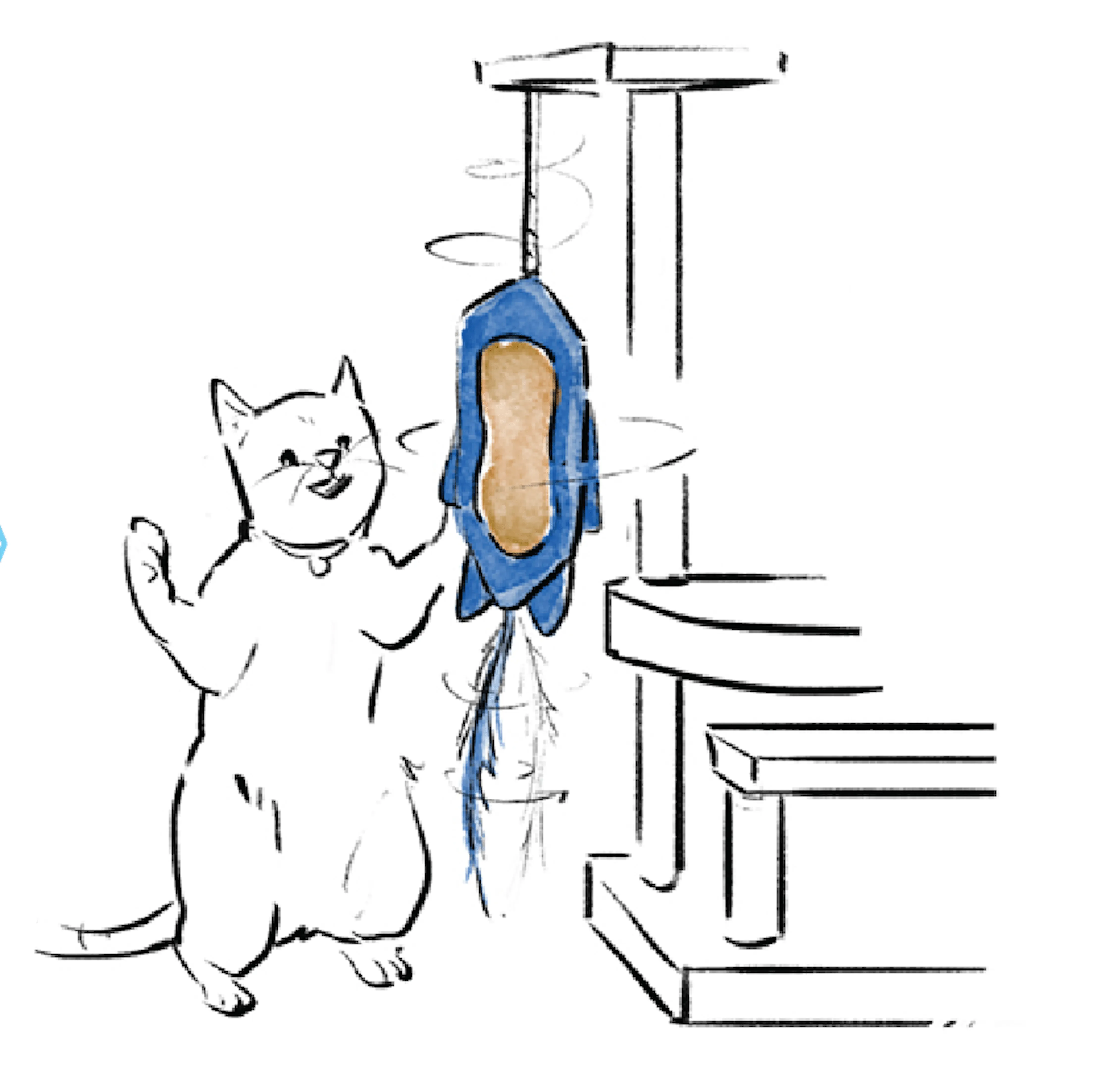 Scratch Square Feline Wholesale Case