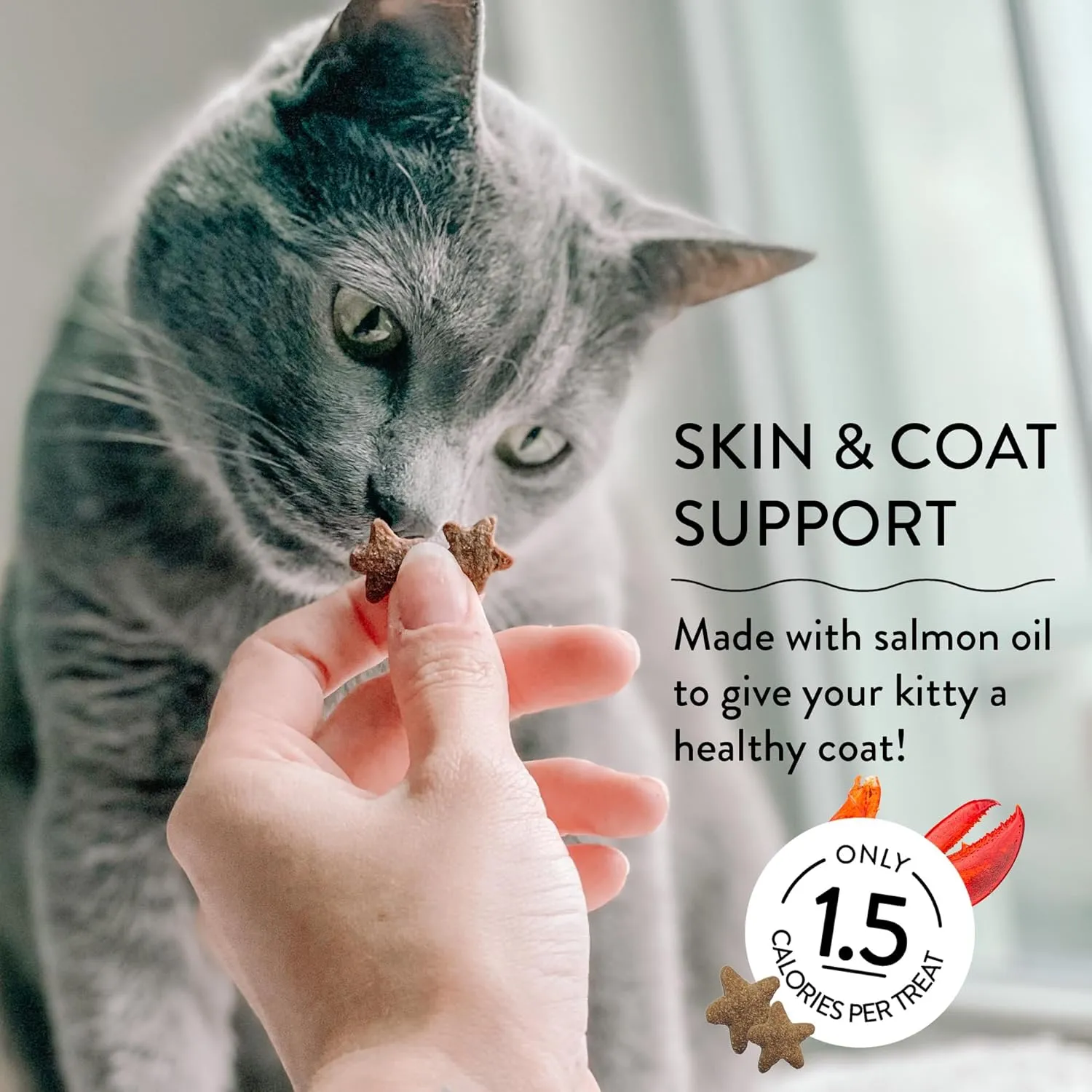 Shameless Pets Crunchy Cat Treats - with Digestive Support, Natural Ingredients Kitten Treats with Real Tuna, Healthy Flavored Feline Snacks - Lobster & Cheese, 3-Pk, Packaging May Vary