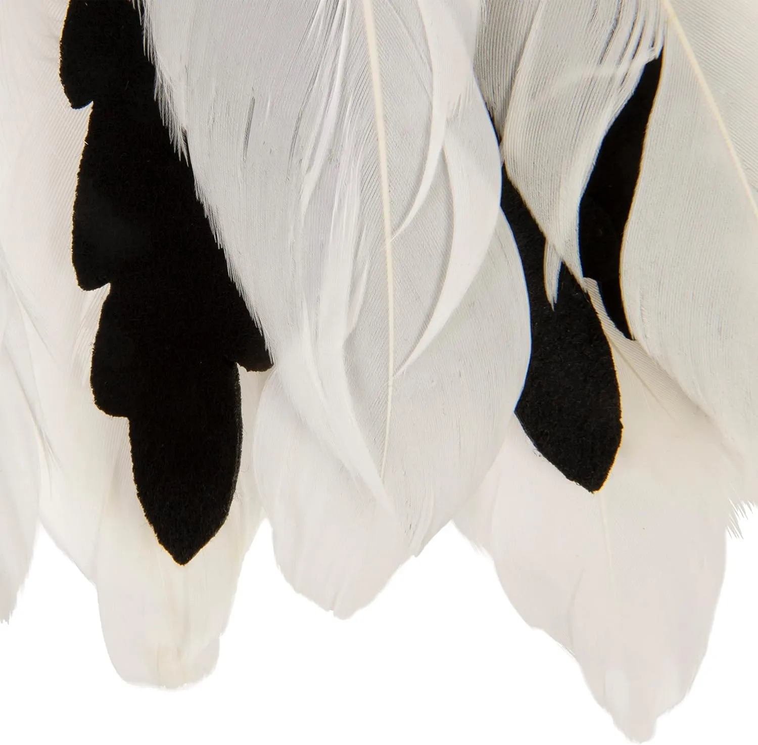 SmartyKat Instincts HappyNip Zingy Zebra Feathered Toss & Chase Interactive Cat Toy, Contains Catnip & Silvervine - White/Black, One Size