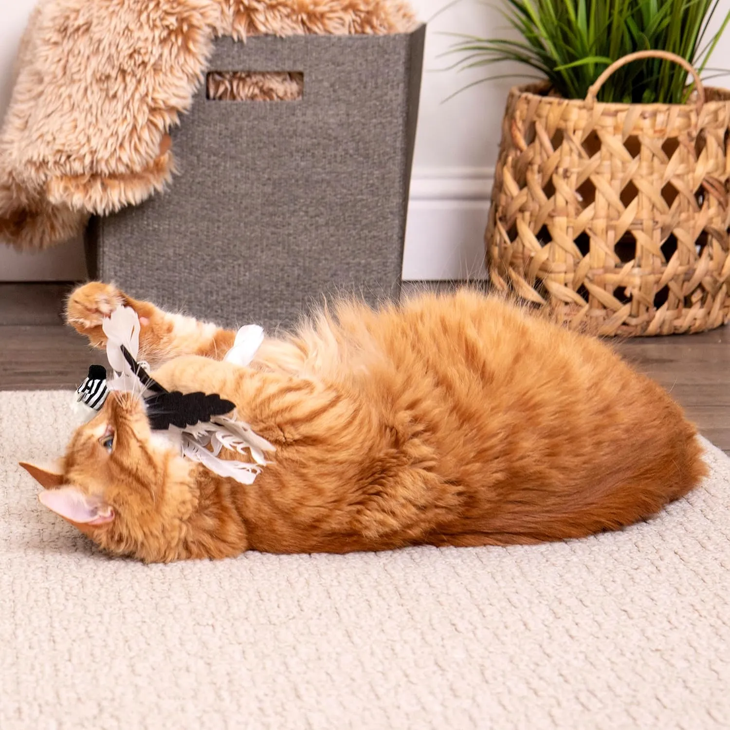 SmartyKat Instincts HappyNip Zingy Zebra Feathered Toss & Chase Interactive Cat Toy, Contains Catnip & Silvervine - White/Black, One Size