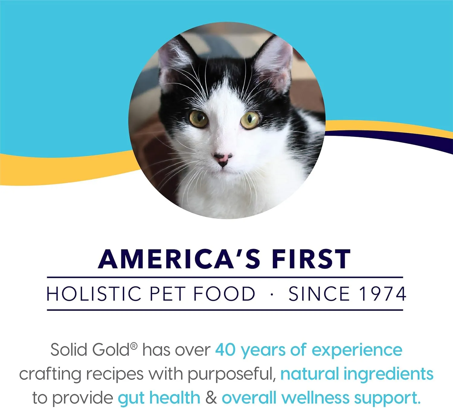 Solid Gold Bone Broth Cat Food Topper - Lickable Wet Food with Protein Shreds for Hydration - Easy to Serve Gravy Bone Broth for Cats - Chicken - 12 Pack
