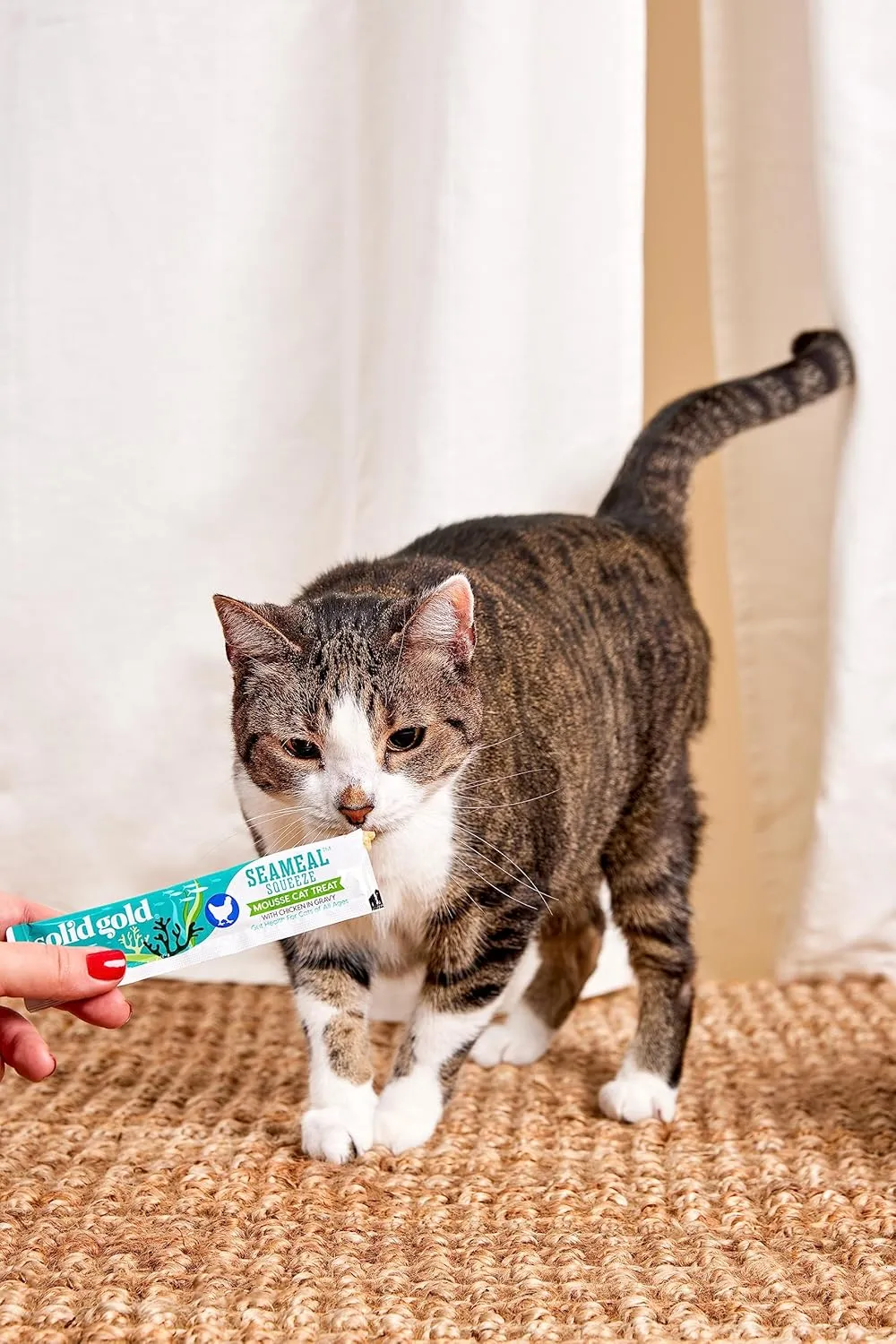 Solid Gold Lickable Cat Treats - Chicken SeaMeal Squeeze Squeezable Cat Treats for Indoor Cats 30 Pack - Made with Fiber-Rich Seaweed for Digestive Health & Immune Support - 3 oz / 30 Count