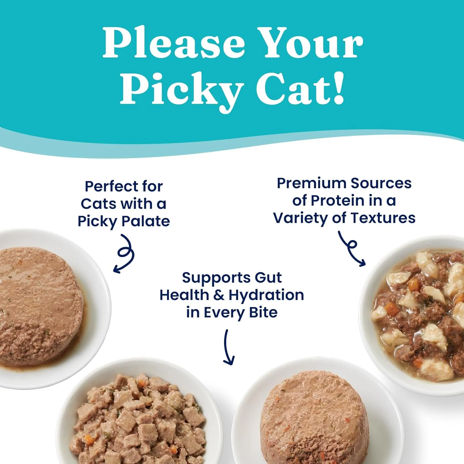 Solid Gold Wet Cat Food for Adult & Senior Cats 12 Pack - Surf & Turf Wet Cat Food Variety Pack - Made with Real Protein for Healthy Digestion and Sensitive Stomach
