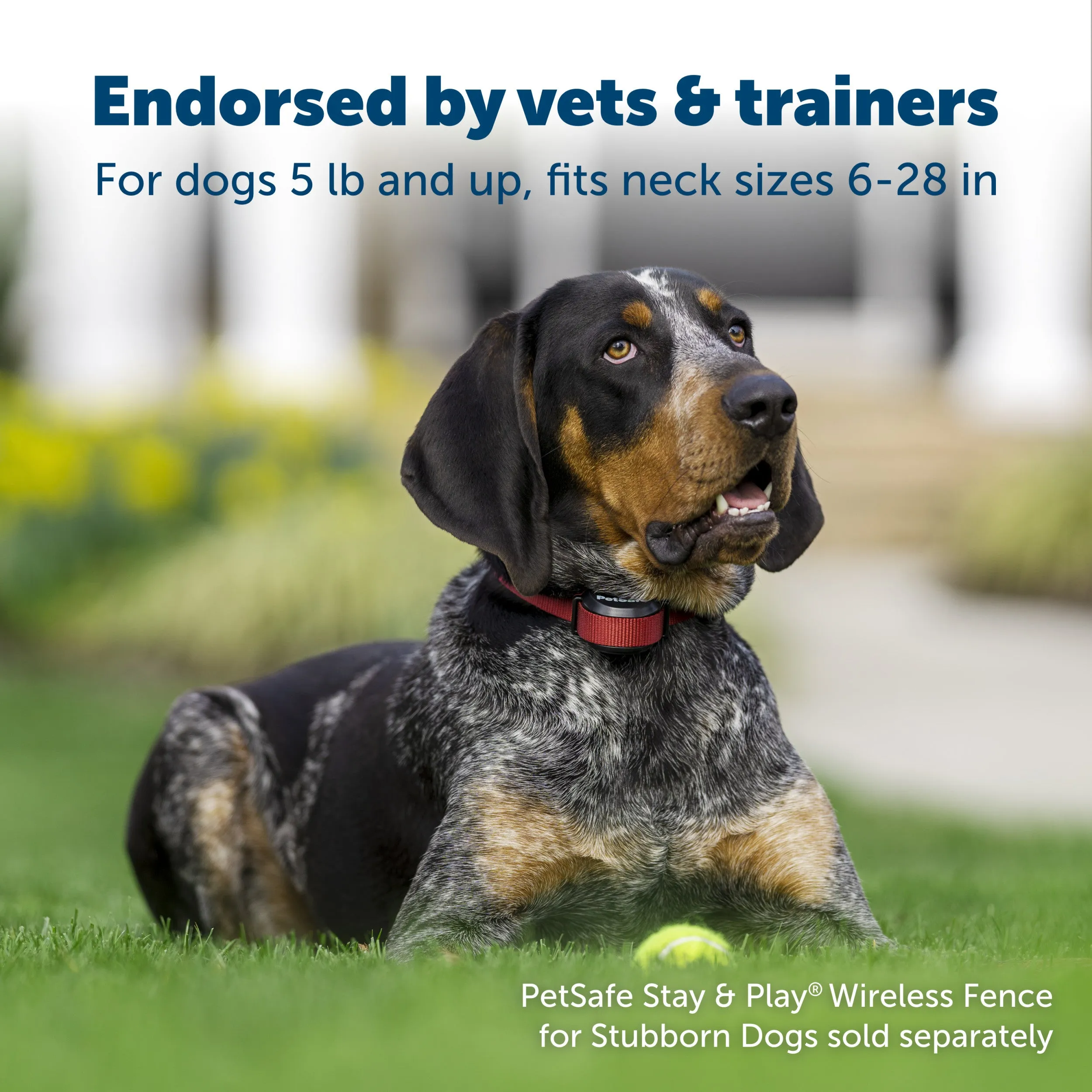 Stay & Play® Wireless Fence Receiver Collar for Stubborn Dogs