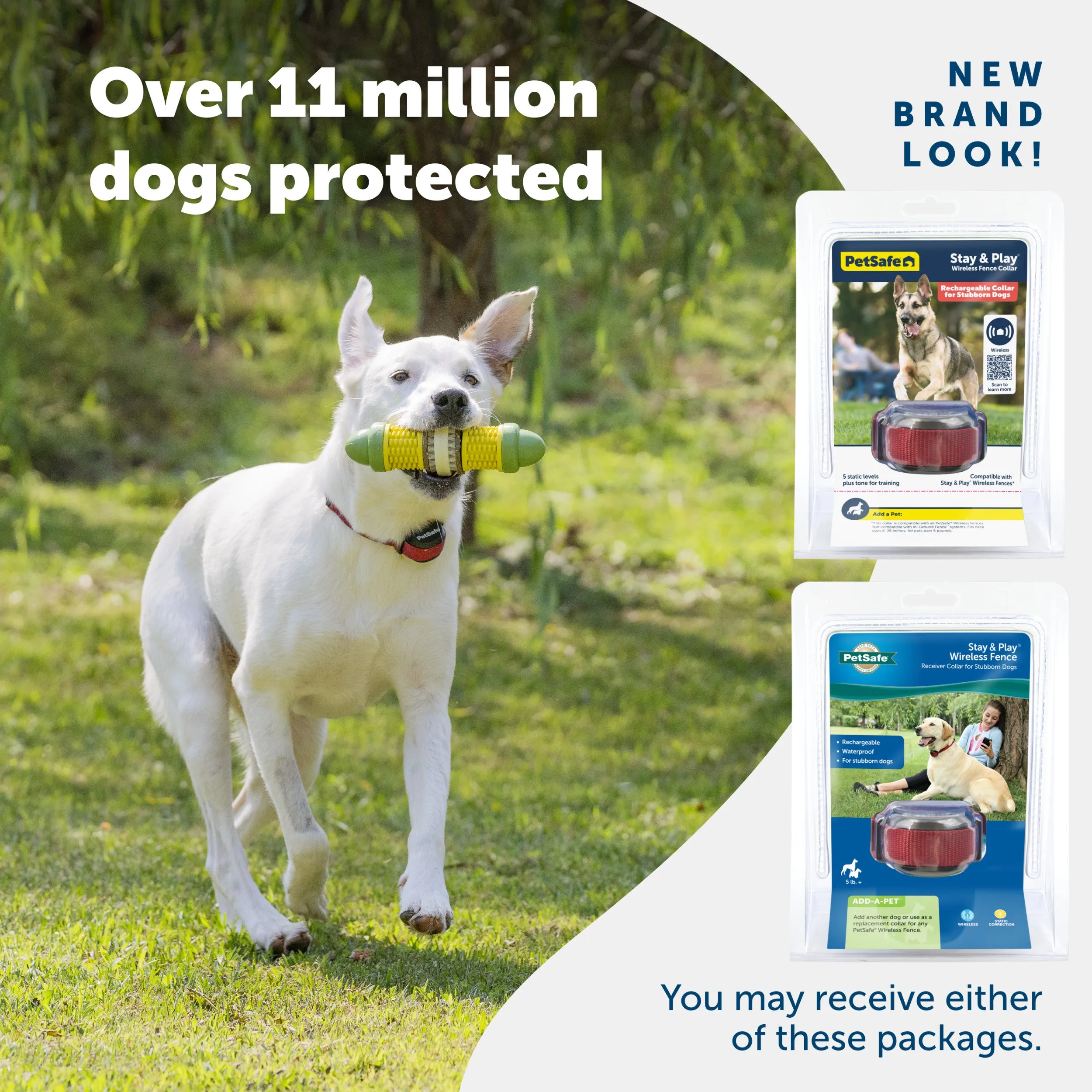 Stay & Play® Wireless Fence Receiver Collar for Stubborn Dogs