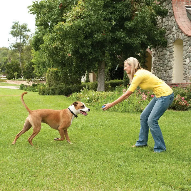 Stay   Play Wireless Fence Add-A-Dog Extra Receiver Collar