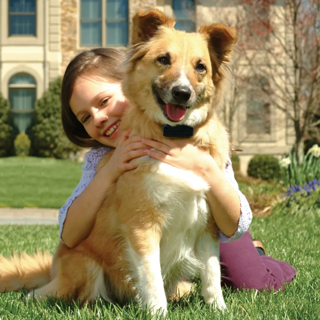 Stubborn Dog Add-A-Dog® Extra Receiver Collar