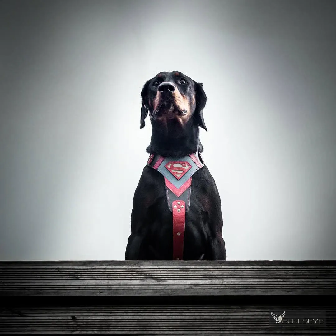 ''SUPERMAN'' HARNESS