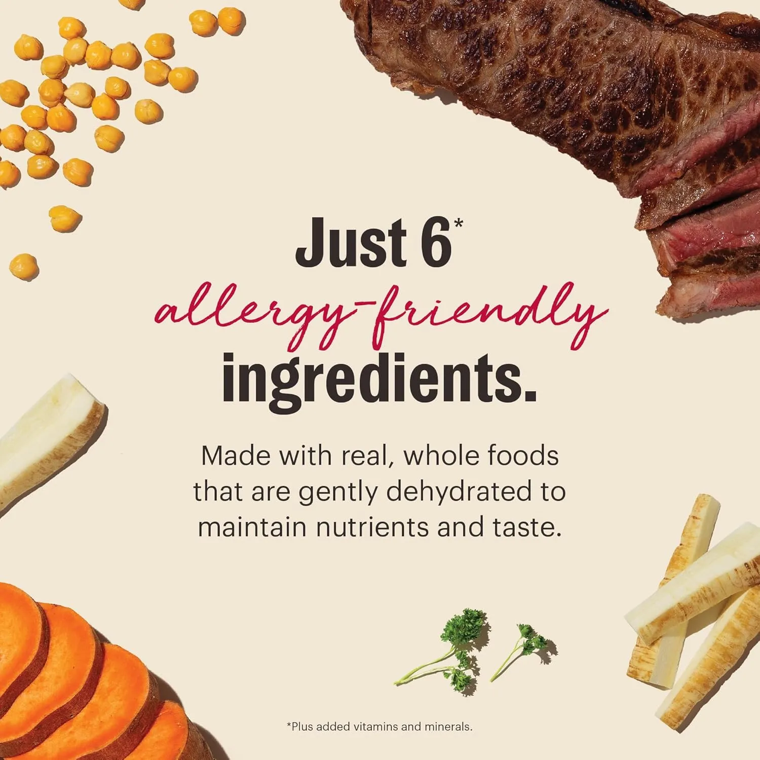 The Honest Kitchen Dehydrated Limited Ingredient Beef Dog Food,10 Lb Box