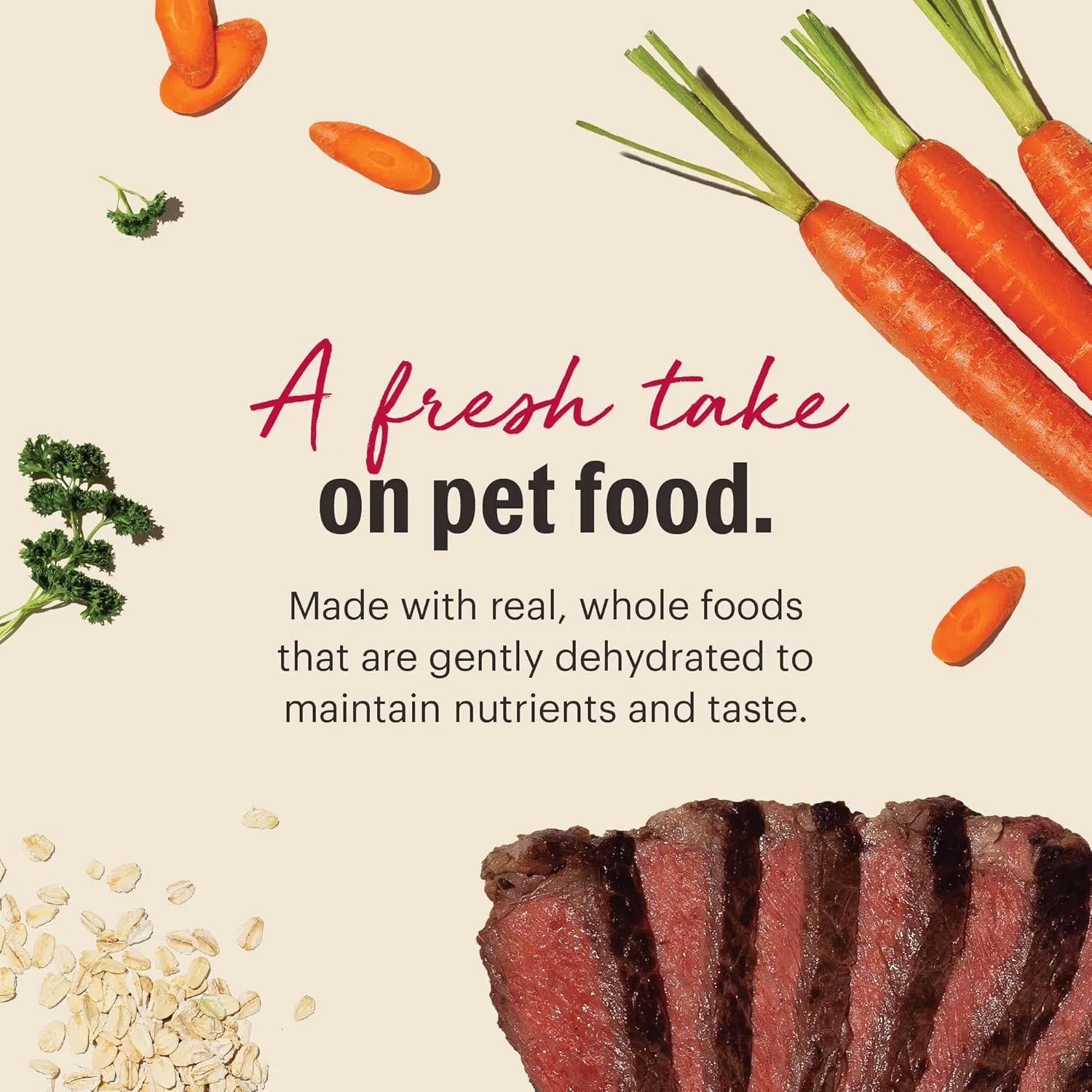 The Honest Kitchen Dehydrated Whole Grain Beef Dog Food, 10 lb Box