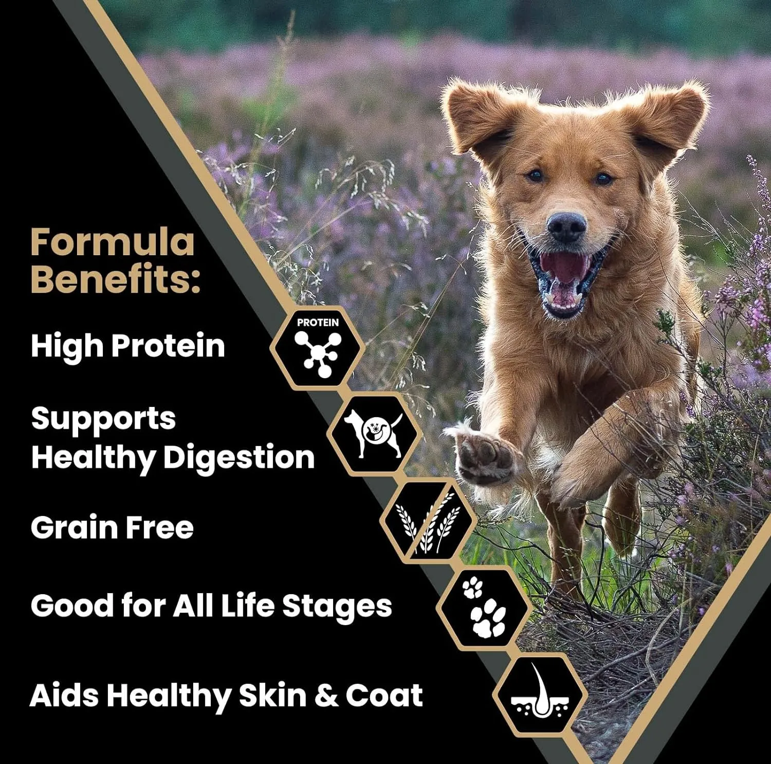 VICTOR Super Premium Dog Food  Grain Free Ultra Pro Kibble  High Protein, Low Carb for Active Dogs  42% Protein Kibble for Sporting Dogs of All Breeds & Sizes, 30 lb