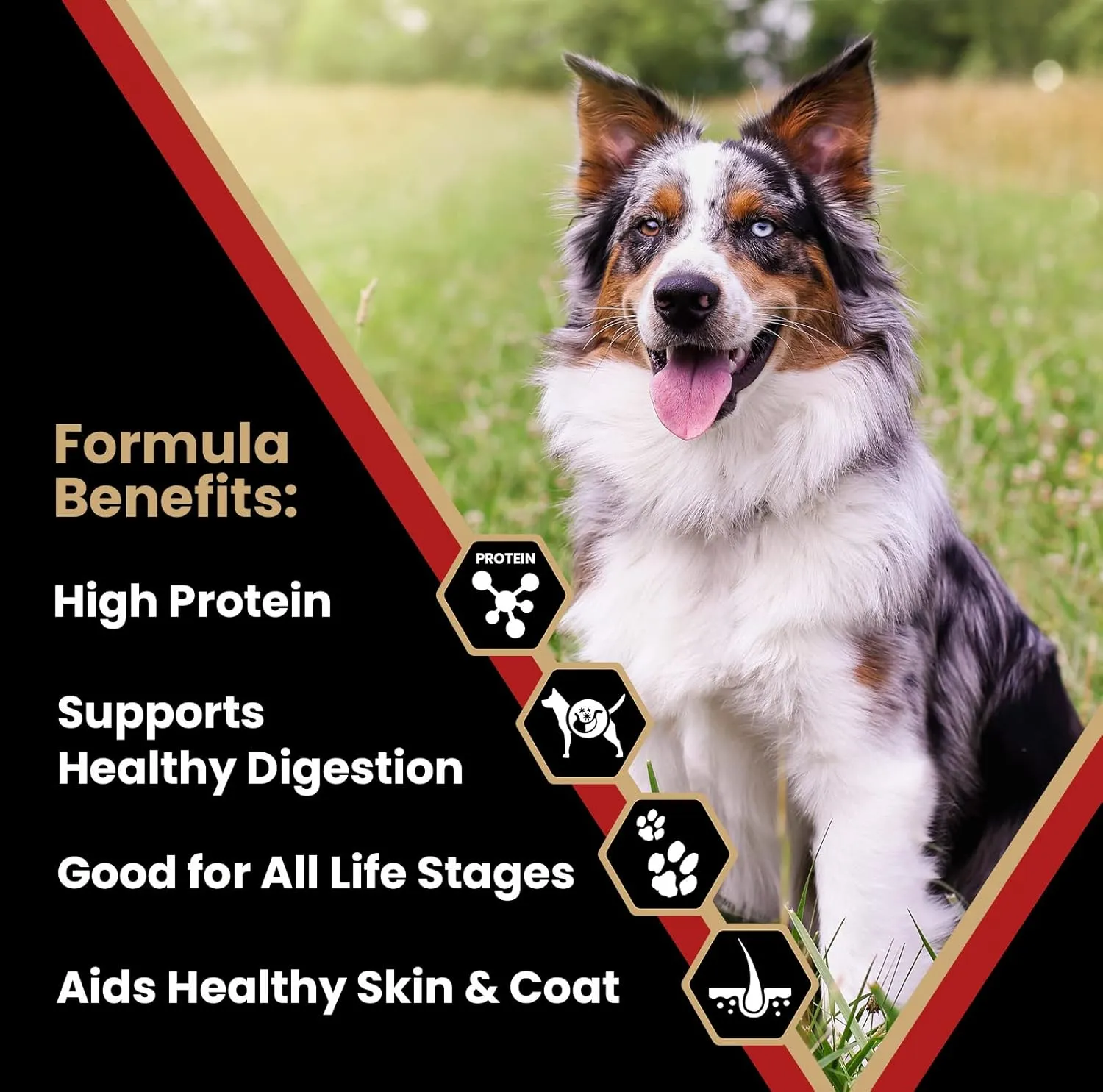 VICTOR Super Premium Dog Food  Purpose Nutra Pro  Gluten-Free, High Protein Low Carb Dry Kibble for Active Dogs of All Ages  Ideal for Sporting, Pregnant or Nursing Dogs & Puppies, 40lbs
