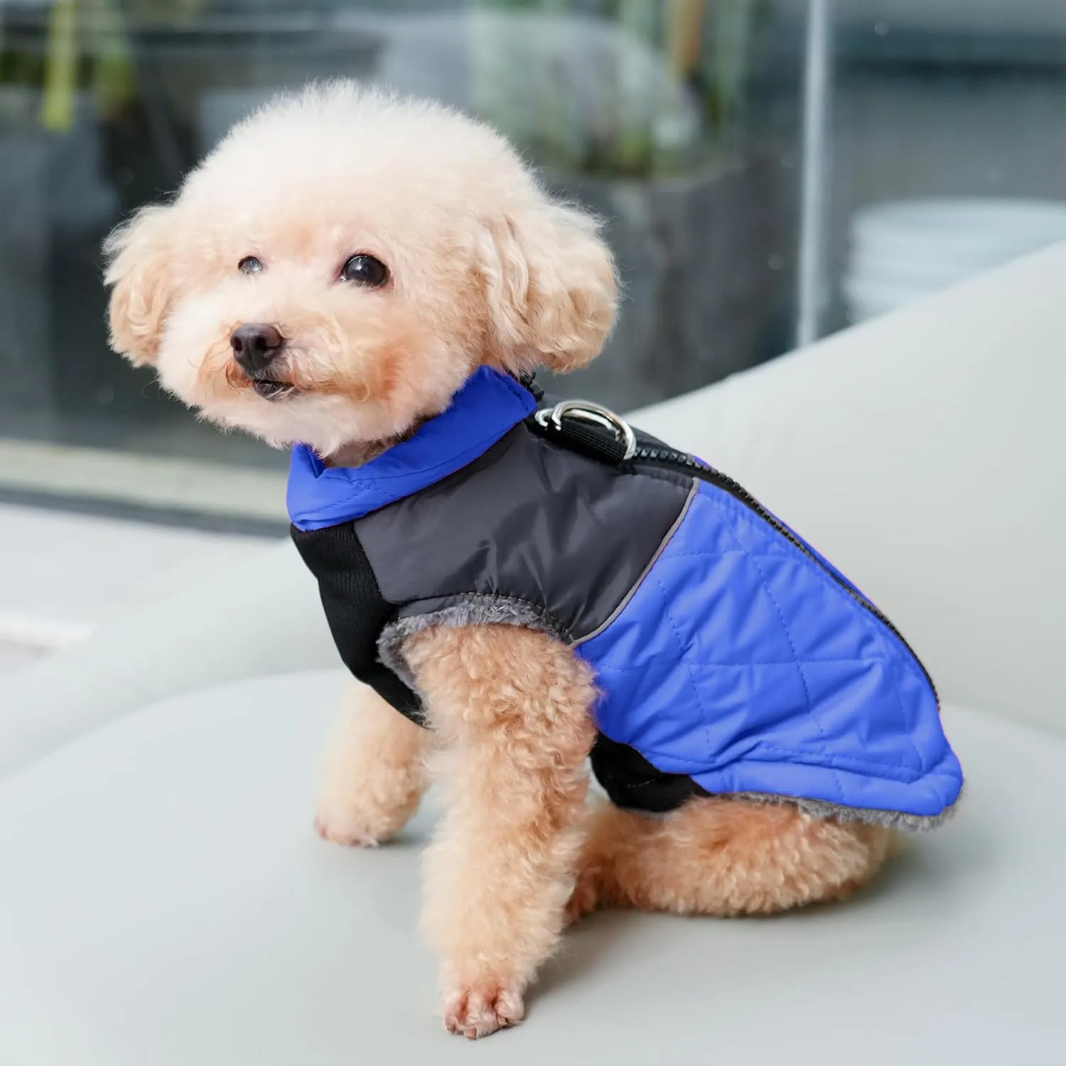 Warm Fleece Dog Coats for Small Dogs,D-Rings Waterproof Puppy Jacket for Cold Winter,Blue M