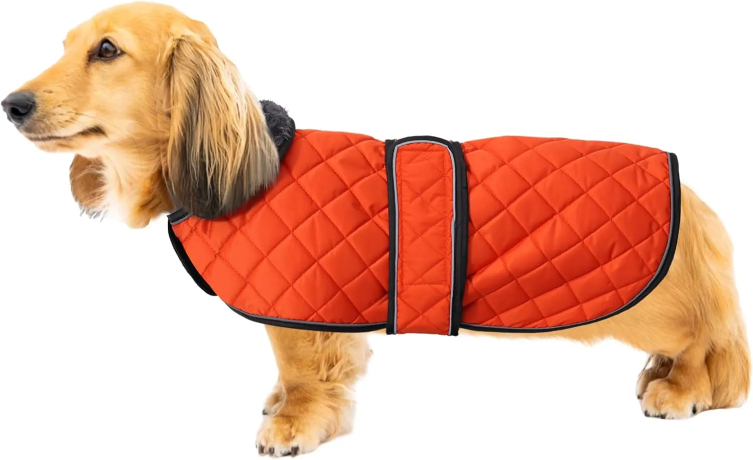 Warm Thermal Quilted Dachshund Coat, Dog Winter Coat with Warm Fleece Lining, Outdoor Dog Apparel with Adjustable Bands for Medium, Large Dog-Orange-M