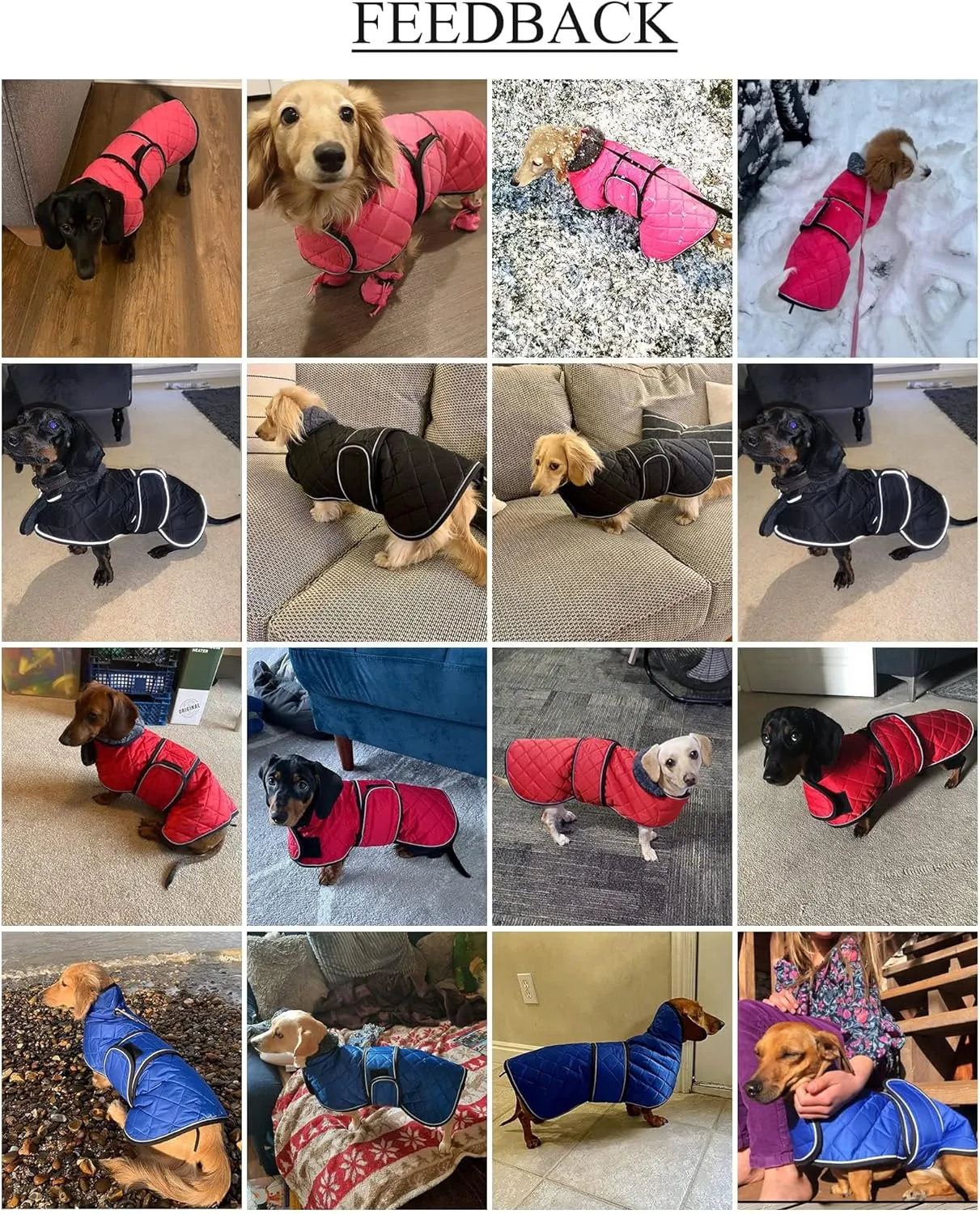 Warm Thermal Quilted Dachshund Coat, Dog Winter Coat with Warm Fleece Lining, Outdoor Dog Apparel with Adjustable Bands for Medium, Large Dog-Orange-M