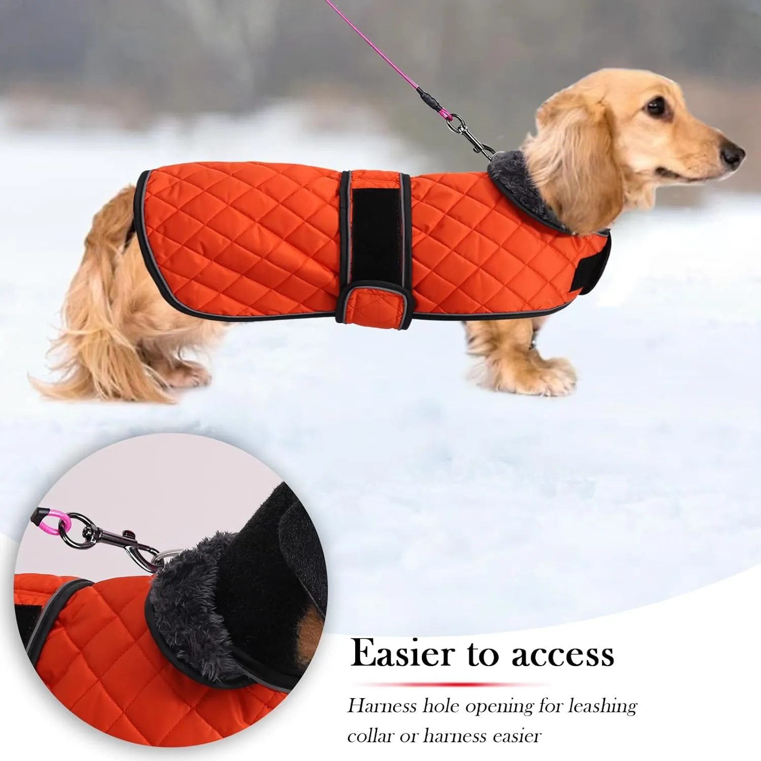 Warm Thermal Quilted Dachshund Coat, Dog Winter Coat with Warm Fleece Lining, Outdoor Dog Apparel with Adjustable Bands for Medium, Large Dog-Orange-M