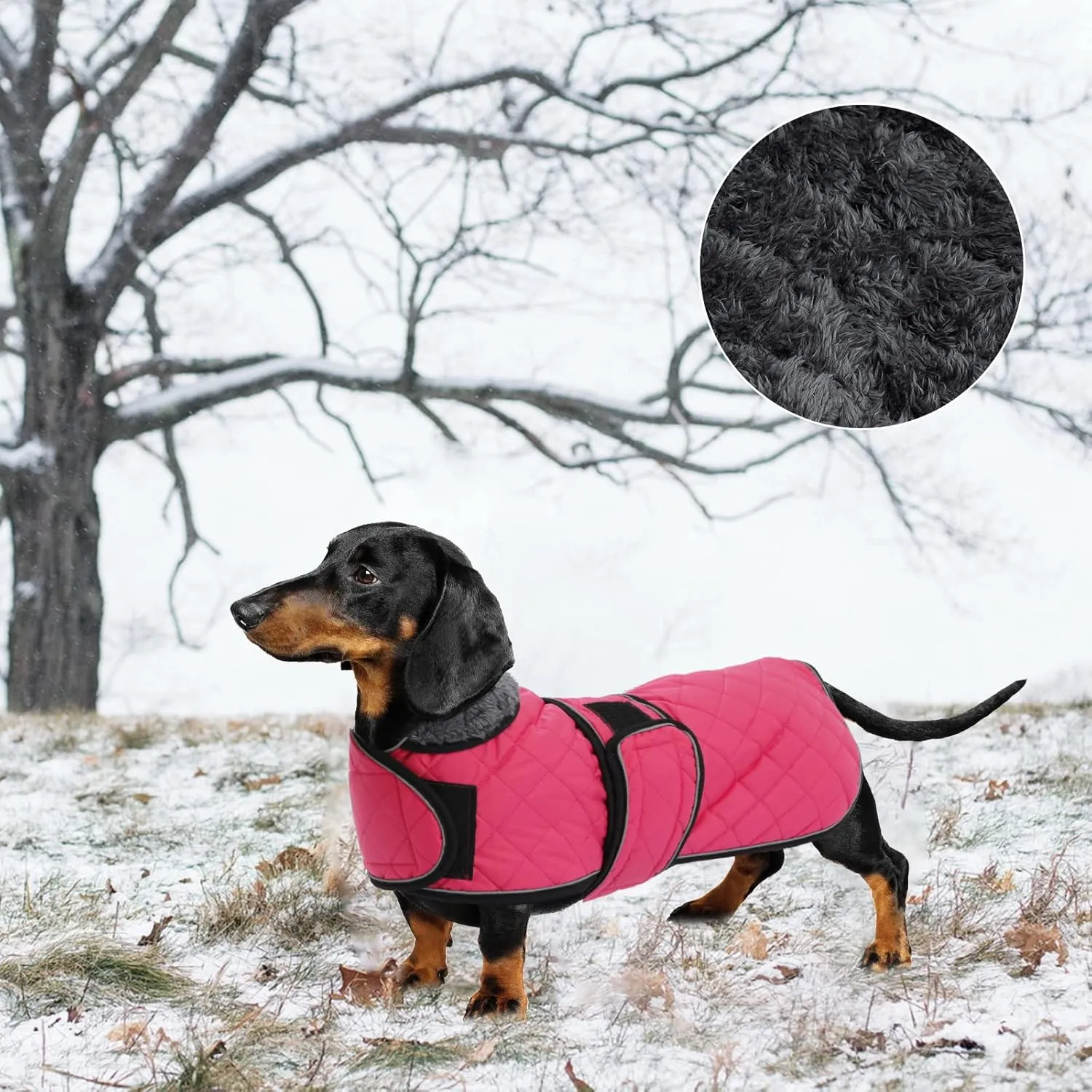 Warm Thermal Quilted Dachshund Coat, Dog Winter Coat with Warm Fleece Lining, Outdoor Dog Apparel with Adjustable Bands for Medium, Large Dog-Pink-M
