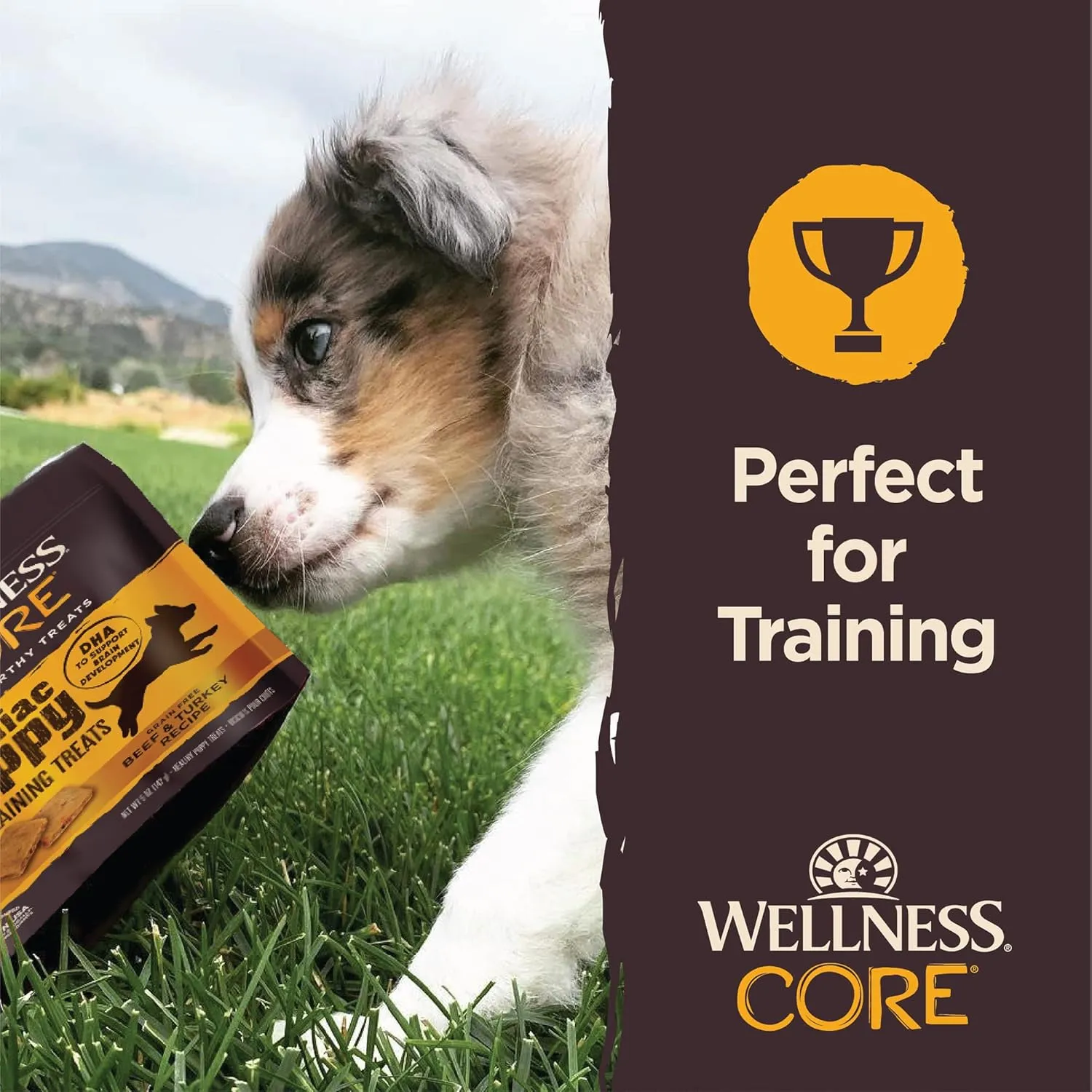 Wellness CORE Puppy Treats, Natural, Training Treat, Grain Free, Brainiac Beef & Turkey (6 Ounce Bag)