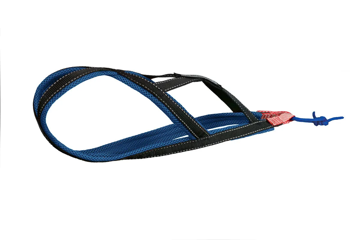 Xback Active G2 Mini