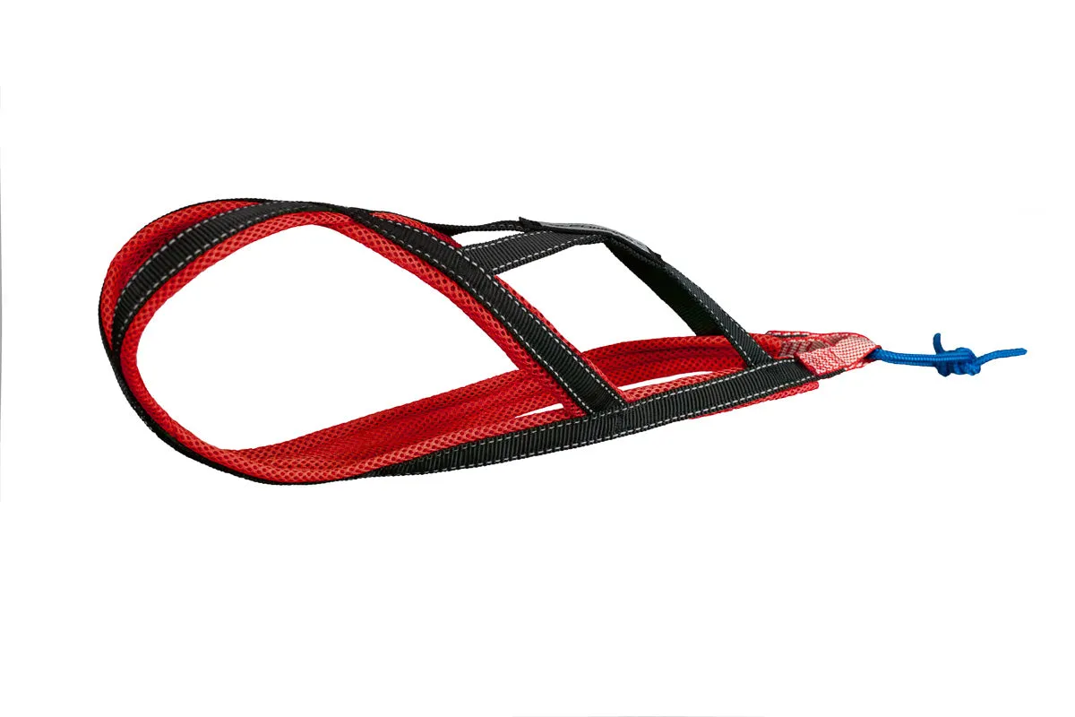Xback Active G2 Mini