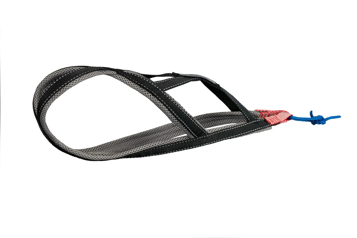 Xback Active G2 Mini