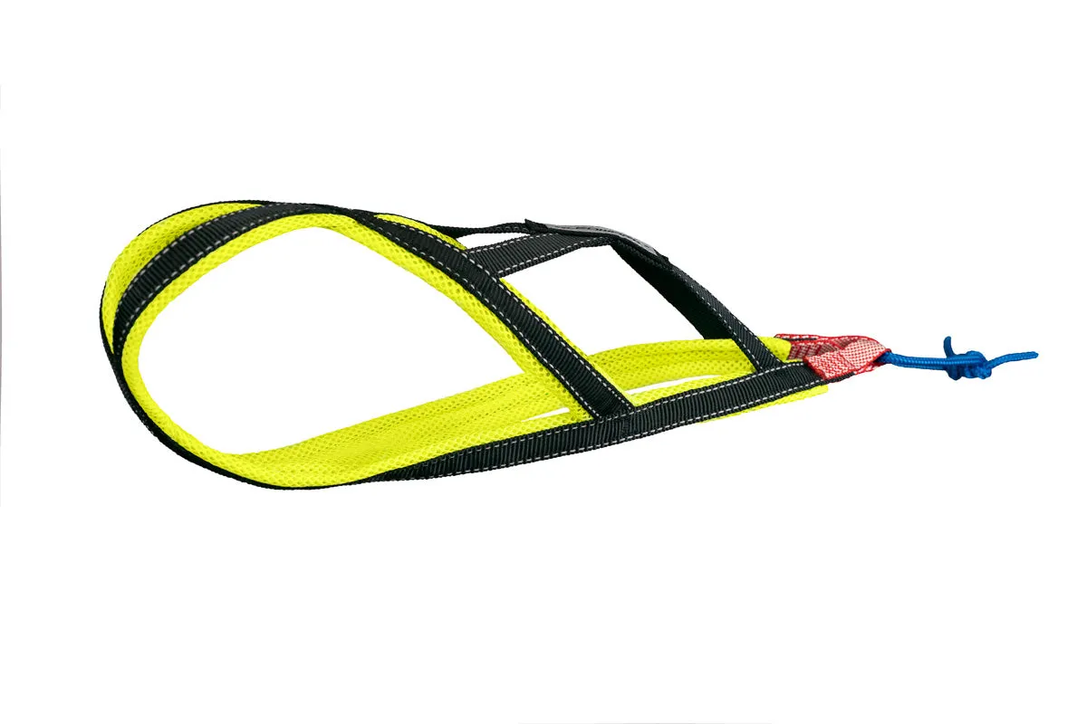 Xback Active G2 Mini