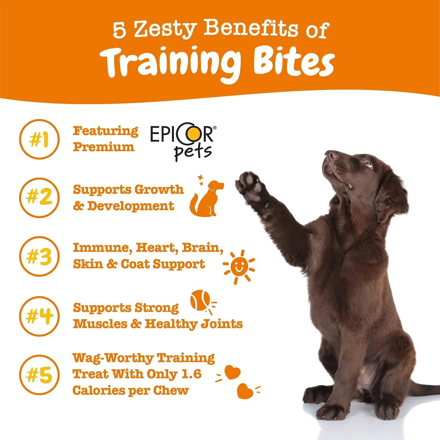 Zesty Paws Training Treats for Dogs & Puppies - Healthy Dog Treats for Hip, Joint & Muscle Health - Puppy Training Treats - for All Breeds and Ages - Dog Treats for Training - PB Flavor - 12oz