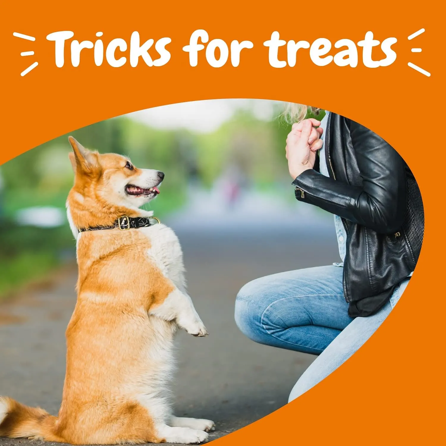 Zesty Paws Training Treats for Dogs & Puppies - Healthy Dog Treats for Hip, Joint & Muscle Health - Puppy Training Treats - for All Breeds and Ages - Dog Treats for Training - PB Flavor - 12oz