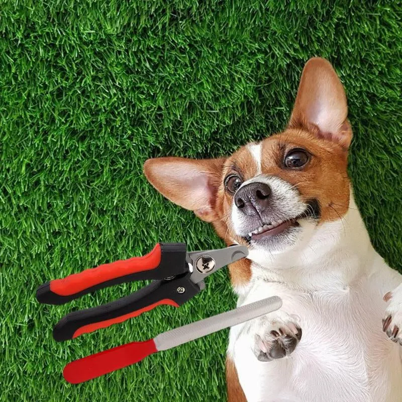 Ziggy Professional Rechargeable Electric Trimmer for Dogs
