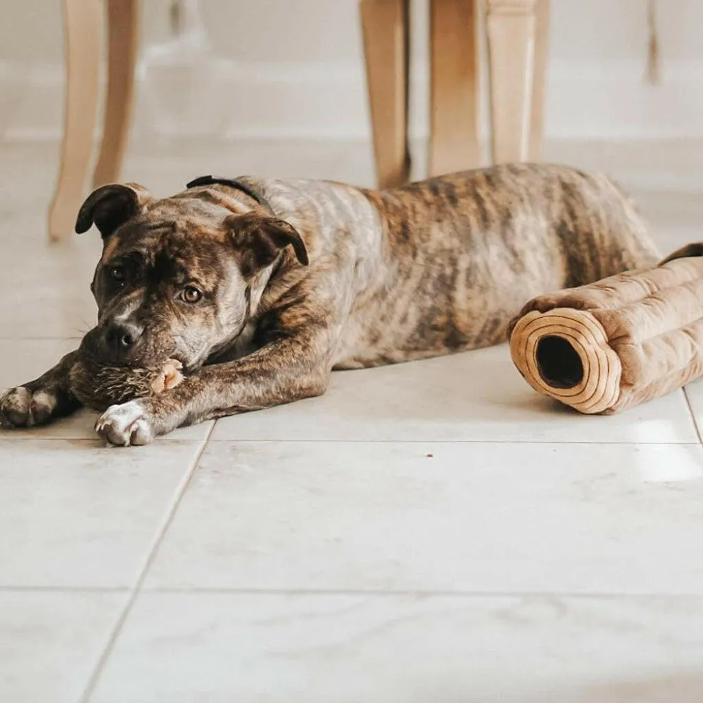 Zippy Paws Burrow Chipmunks 'n Log - Interactive Log Toy for Dogs
